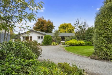 Photo of property in 124 Double Corner Road, Amberley, 7481