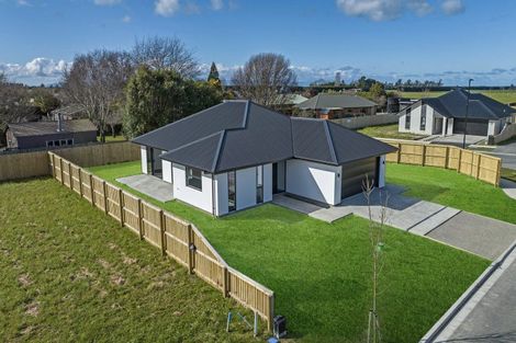 Photo of property in 45 Collisson Street, Leeston, 7632