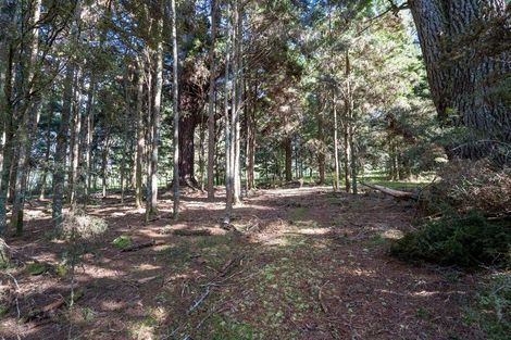 Photo of property in 46 Cookson Road, Kawakawa, 0282