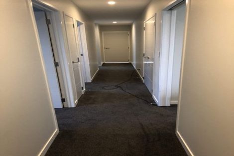 Photo of property in 44 Hastings Road, Pyes Pa, Tauranga, 3112