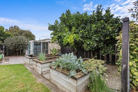 Photo of property in 11 Conrad Place, Leamington, Cambridge, 3432