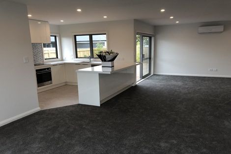 Photo of property in 33a Ward Street, Palmerston North, 4410