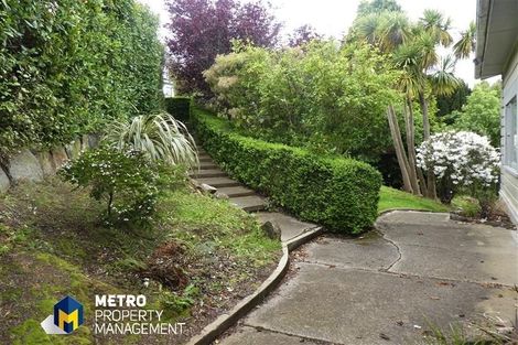 Photo of property in 10 Haig Street, Mornington, Dunedin, 9011