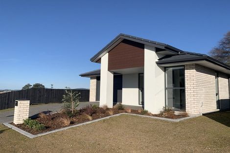 Photo of property in 19 Omanga Way, Bethlehem, 3110