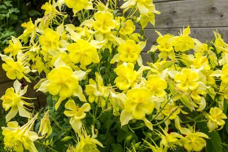 Photo of property in 24 Te Kaeaea Crescent, Wallaceville, Upper Hutt, 5018