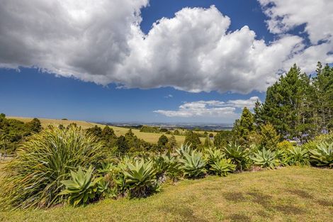 Photo of property in 1053 Wiroa Road, Okaihau, 0475