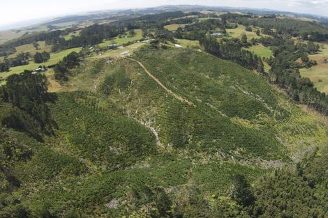 Photo of property in 1400 Kaipara Coast Highway, Kaukapakapa, 0984