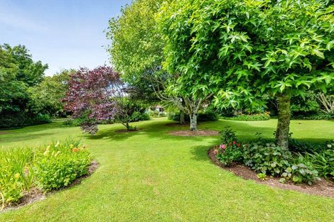 Photo of property in 37 Flint Road West, Stratford, 4332