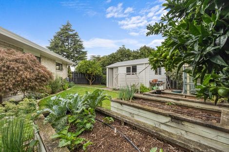 Photo of property in 11 Conrad Place, Leamington, Cambridge, 3432