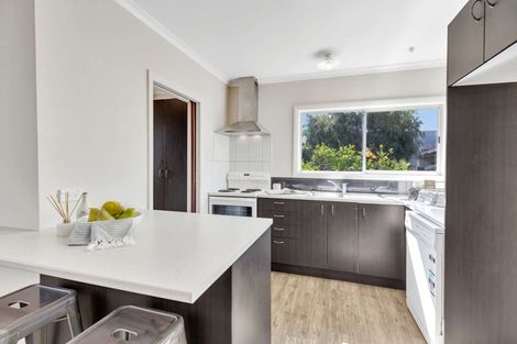 Photo of property in 38 Miro Street, Takaro, Palmerston North, 4410