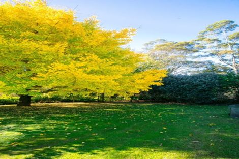 Photo of property in 664 State Highway 2, Tahawai, Katikati, 3170