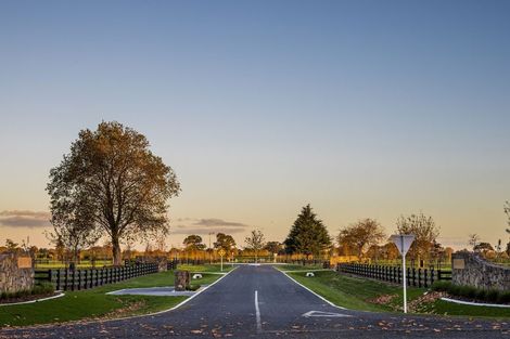 Photo of property in 7 Orchard Place, Matamata, 3472