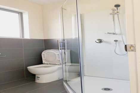 Photo of property in 17 Preston Avenue, Henderson, Auckland, 0610