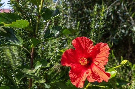 Photo of property in 78 Russell Road, Huntly, 3700