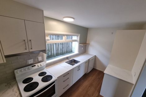 Photo of property in 1/117 Austin Street, Mount Victoria, Wellington, 6011
