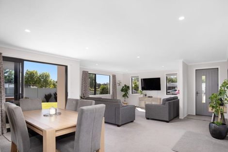 Photo of property in 17 Brooke Place, Alexandra, 9320