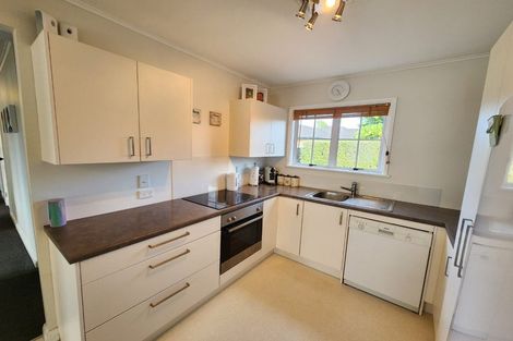 Photo of property in 13 Buchanan Road, Kingseat, Papakura, 2580