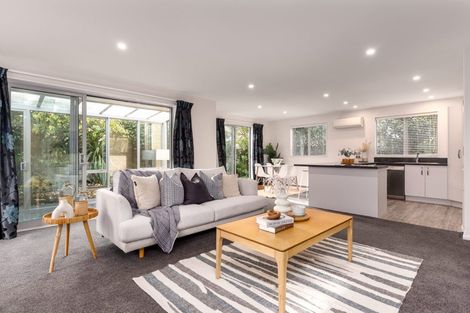 Photo of property in 1b Amstel Lane, Richmond, Christchurch, 8013