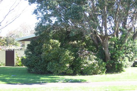Photo of property in 424 Maungatapu Road, Maungatapu, Tauranga, 3112