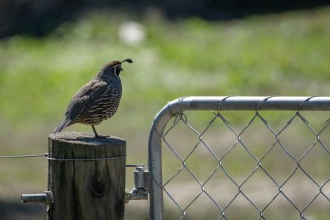 Photo of property in 333 Beacon Point Road, Wanaka, 9305