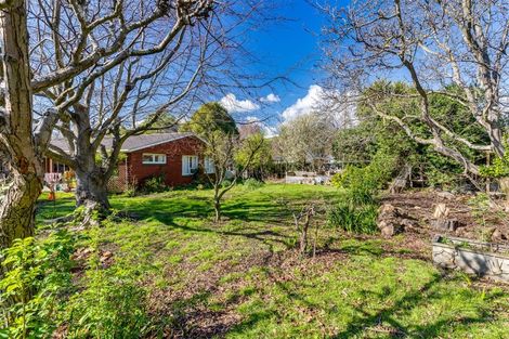 Photo of property in 228a Opawa Road, Hillsborough, Christchurch, 8022