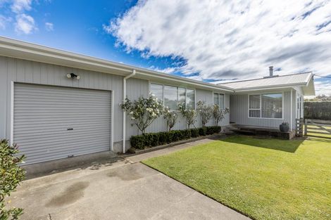 Photo of property in 9 Shanly Street, Waipawa, 4210