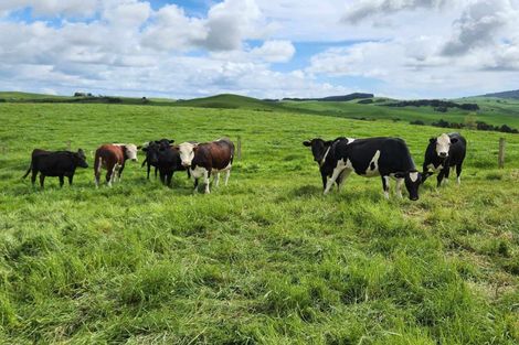 Photo of property in 697 Maungatawhiri Road, Raglan, 3295