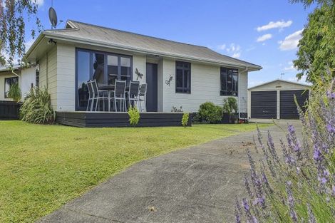 Photo of property in 6 Wiseley Place, Morrinsville, 3300
