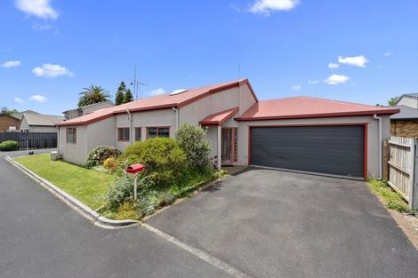 Photo of property in 68b Palmerston Street, Hamilton Central, Hamilton, 3204