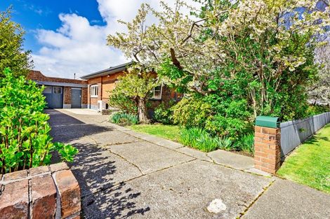 Photo of property in 58 Wellington Street, Georgetown, Invercargill, 9812