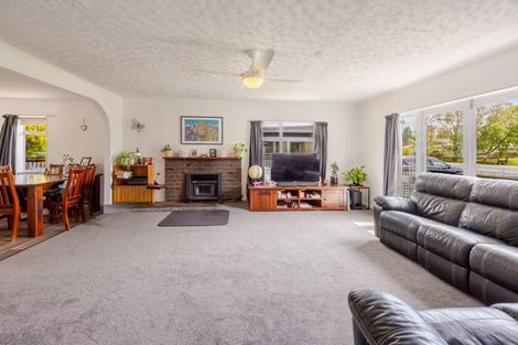 Photo of property in 38 Francis Drake Street, Waipukurau, 4200