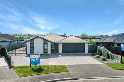 Photo of property in 20 Waterford Road, Tinwald, Ashburton, 7700