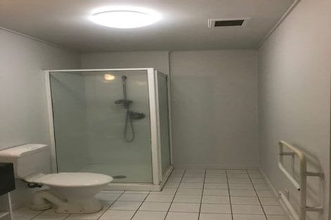 Photo of property in Dixonlane Apartments, 16/7 Feltex Lane, Te Aro, Wellington, 6011