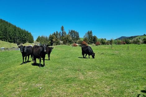Photo of property in 299 Whangamata Road, Kinloch, Taupo, 3377