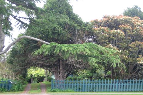 Photo of property in 23 Stanley Avenue, Te Aroha, 3320