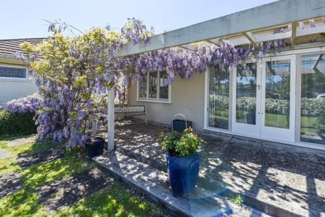 Photo of property in 105 Thorp Street, Motueka, 7120