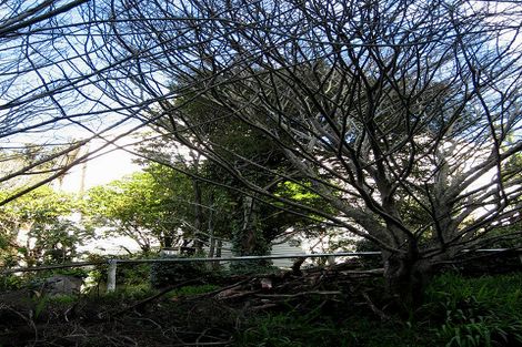 Photo of property in 181 Glenmore Street, Kelburn, Wellington, 6012