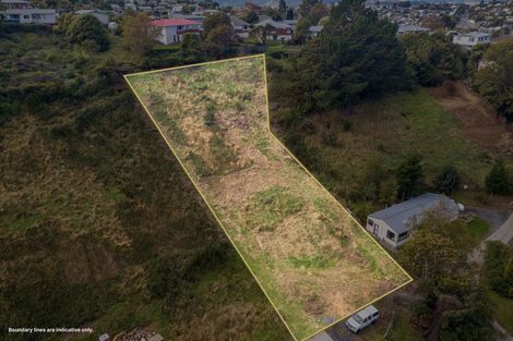 Photo of property in 60 Frasers Road, Glenross, Dunedin, 9011
