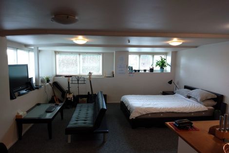 Photo of property in 120 Williamson Avenue, Grey Lynn, Auckland, 1021