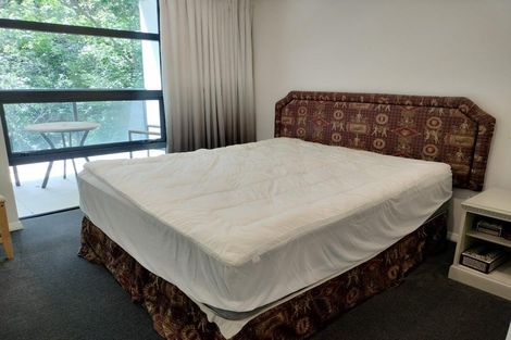 Photo of property in 206/8 Kingsland Terrace, Kingsland, Auckland, 1021