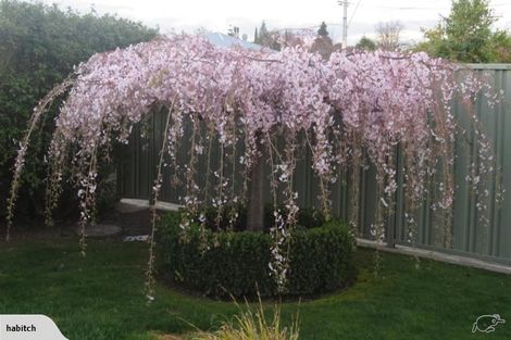 Photo of property in 44 Opaki Road, Lansdowne, Masterton, 5810