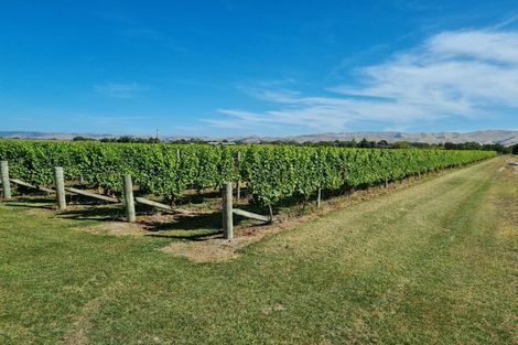 Photo of property in 344 Jones Road, Grovetown, Blenheim, 7273