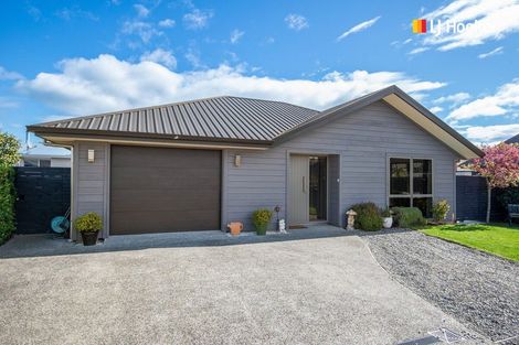 Photo of property in 58 Silverstream Drive, Mosgiel, 9024