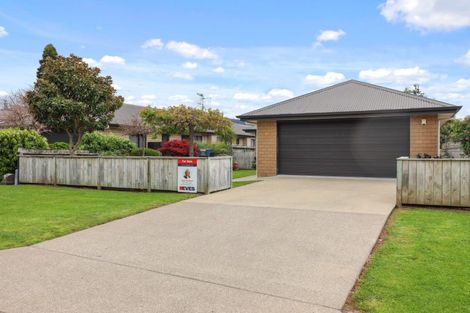 Photo of property in 8c Church Street, Katikati, 3129