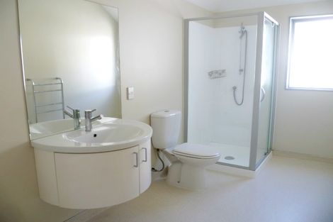 Photo of property in 3 Papawai Terrace, Mount Cook, Wellington, 6021