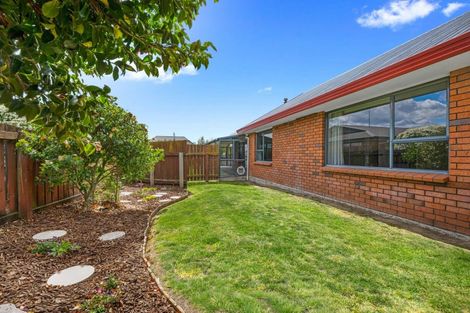 Photo of property in 24 Brooklyn Drive, Redwoodtown, Blenheim, 7201