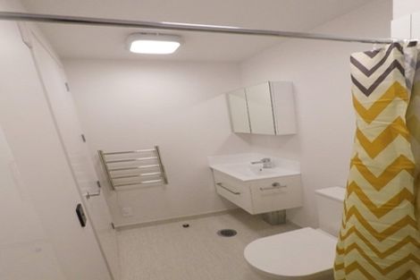 Photo of property in Vedado Apartments, 208/41 Hopper Street, Mount Cook, Wellington, 6011