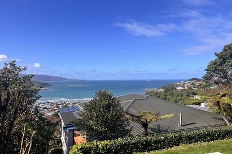 Photo of property in 10 Hornsey Road, Melrose, Wellington, 6023