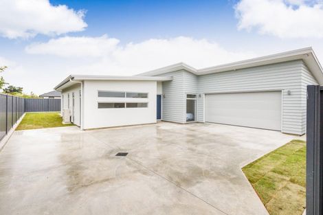Photo of property in 8 Roots Street West, Feilding, 4702