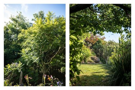 Photo of property in 116 Alexander Close, Thames, 3500